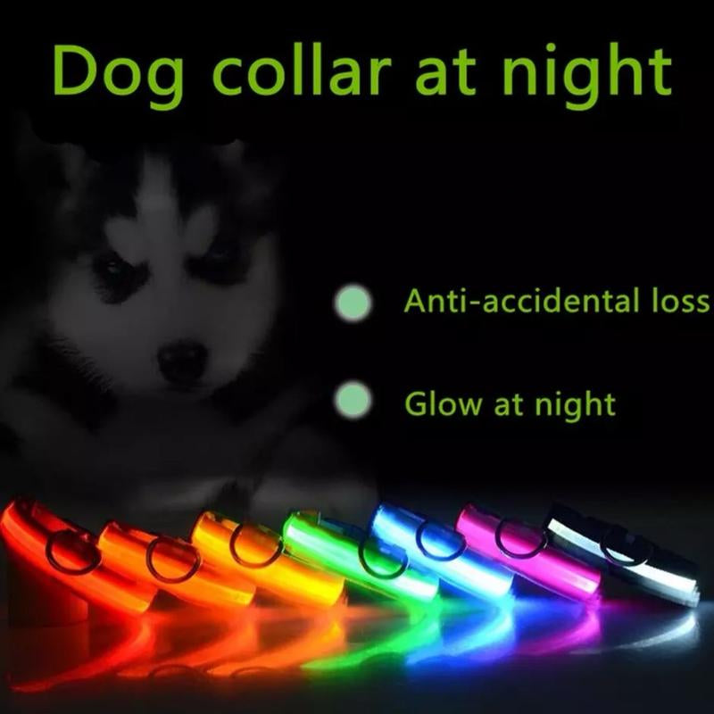 Easy to See at Night Adjustable Dog Collar Glow Pets Safety Waterproof