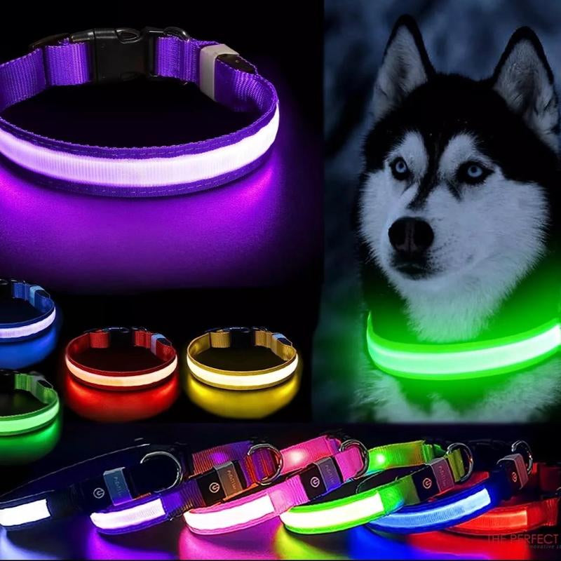 Easy to See at Night Adjustable Dog Collar Glow Pets Safety Waterproof